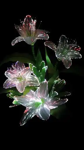 Play Optic Flowers Wallpaper Demo  and enjoy Optic Flowers Wallpaper Demo with UptoPlay