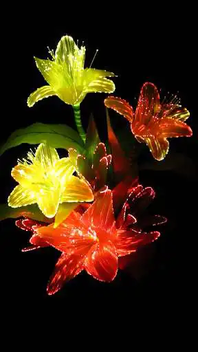 Play Optic Flowers Wallpaper Demo as an online game Optic Flowers Wallpaper Demo with UptoPlay