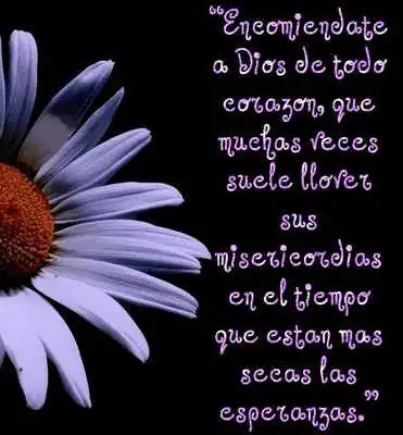 Play Oraciones al espiritu santo Play Oraciones al espiritu santo