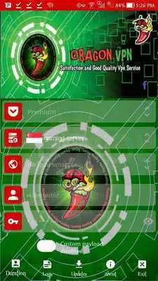 Play Oragon VPN