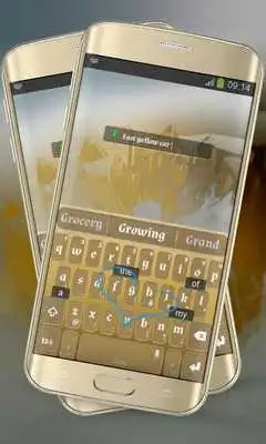 Play Orange Simplicity Keypad