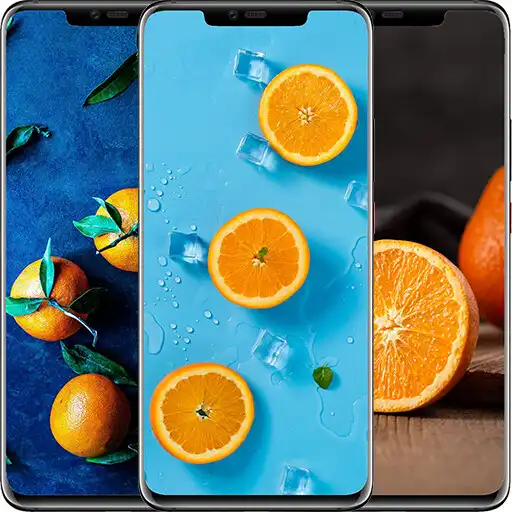 Play Oranges Wallpapers APK Play Oranges Wallpapers APK