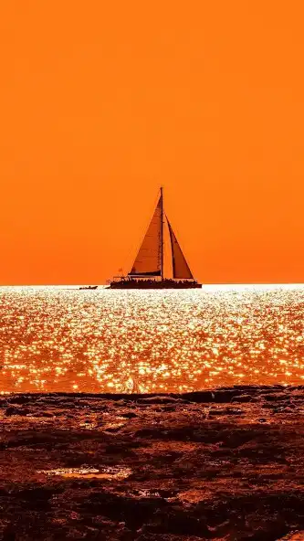Play Orangish Wallpapers  and enjoy Orangish Wallpapers with UptoPlay