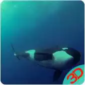 Free play online Orca Live Wallpaper APK