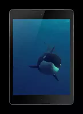 Play Orca Live Wallpaper
