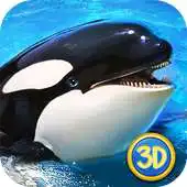Free play online Orca Simulator: Animal Quest APK
