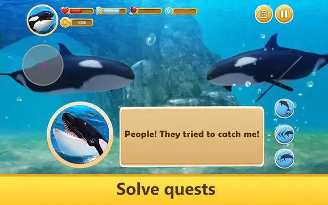 Play Orca Simulator: Animal Quest Play Orca Simulator: Animal Quest