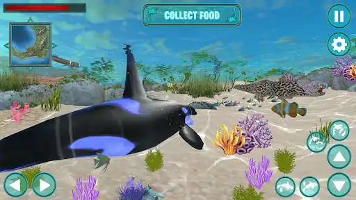 Play Orca Simulator: Killer Whale Simulator Game and enjoy Orca Simulator: Killer Whale Simulator Game with UptoPlay Play Orca Simulator: Killer Whale Simulator Game and enjoy Orca Simulator: Killer Whale Simulator Game with UptoPlay