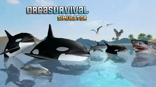 Play Orca Survival Simulator as an online game Orca Survival Simulator with UptoPlay
