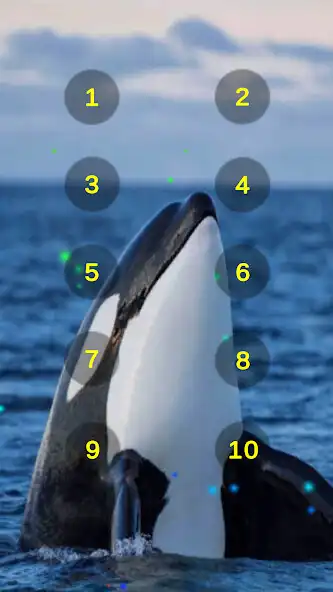 Play Orca Whale Sounds Soundboard and enjoy Orca Whale Sounds Soundboard with UptoPlay Play Orca Whale Sounds Soundboard and enjoy Orca Whale Sounds Soundboard with UptoPlay