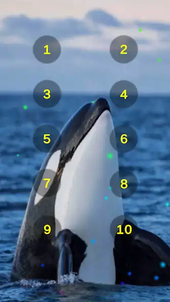 Play Orca Whale Sounds Soundboard as an online game online Orca Whale Sounds Soundboard with UptoPlay Play Orca Whale Sounds Soundboard as an online game Orca Whale Sounds Soundboard with UptoPlay