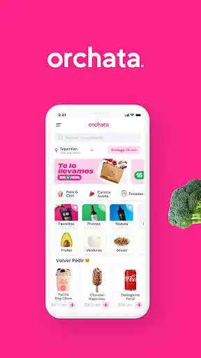 Play Orchata: Super en 15 minutos  and enjoy Orchata: Super en 15 minutos with UptoPlay