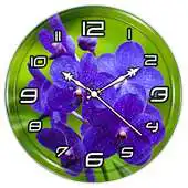 Free play online Orchid Clock Live Wallpaper APK
