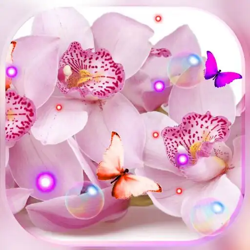 Play Orchide Pink live wallpaper APK