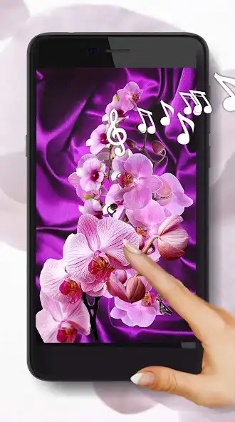 Play Orchide Pink live wallpaper  and enjoy Orchide Pink live wallpaper with UptoPlay