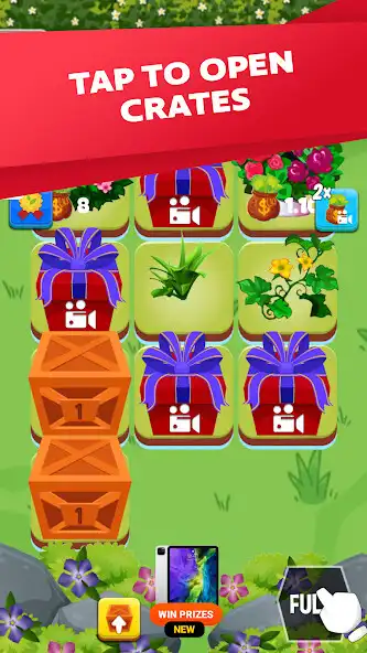Play Orchid Growth  and enjoy Orchid Growth with UptoPlay