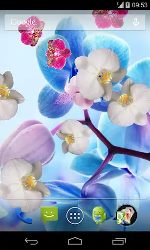 Play Orchid Live Wallpaper  and enjoy Orchid Live Wallpaper with UptoPlay