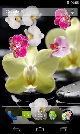 Play Orchid Live Wallpaper as an online game Orchid Live Wallpaper with UptoPlay