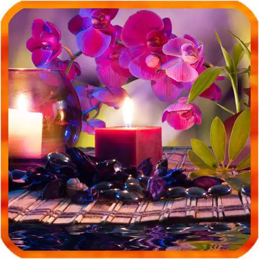 Free play online Orchid Live Wallpapers APK
