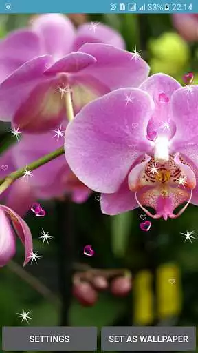 Play Orchid Live Wallpapers
