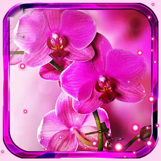 Play Orchid Music Live Wallpaper APK Play Orchid Music Live Wallpaper APK