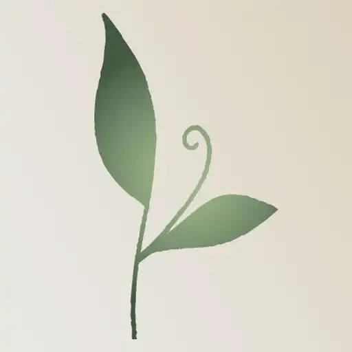 Play Orchid Pediatrics APK