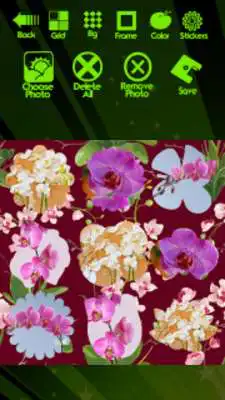 Play Orchid Photo Collage