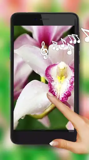 Play Orchids flowers Live Wallpaper