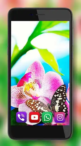 Play Orchids flowers Live Wallpaper