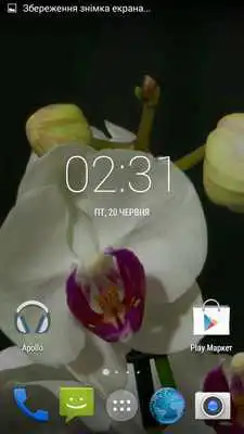 Play Orchids flowers Live Wallpaper