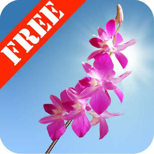 Play Orchids Free Live Wallpaper APK