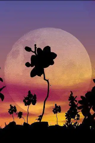 Play Orchids Free Live Wallpaper as an online game Orchids Free Live Wallpaper with UptoPlay