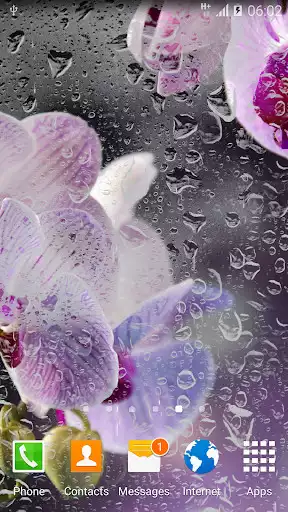 Play Orchids Live Wallpaper