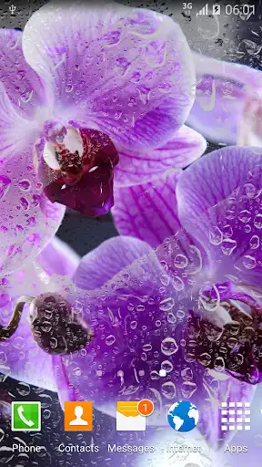 Play Orchids Live Wallpaper