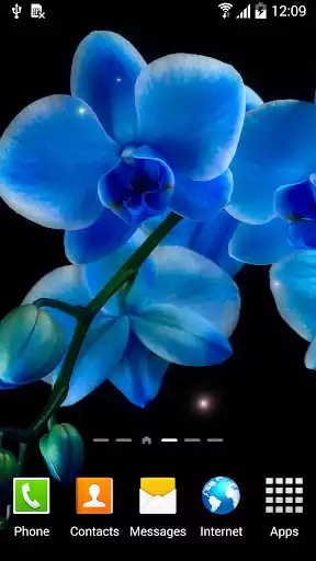 Play Orchids Wallpaper