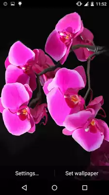 Play Orchids Water Effect LWP Play Orchids Water Effect LWP