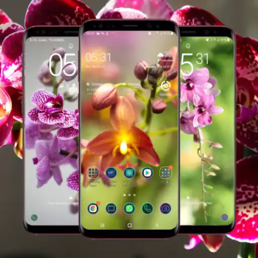 Free play online Orchid Wallpaper APK Free play online Orchid Wallpaper APK