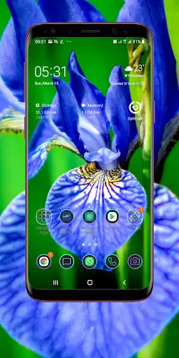 Play Orchid Wallpaper