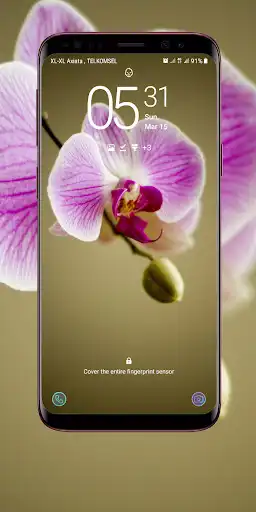 Play Orchid Wallpaper