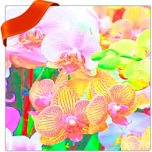Play Orchid Wallpapers APK