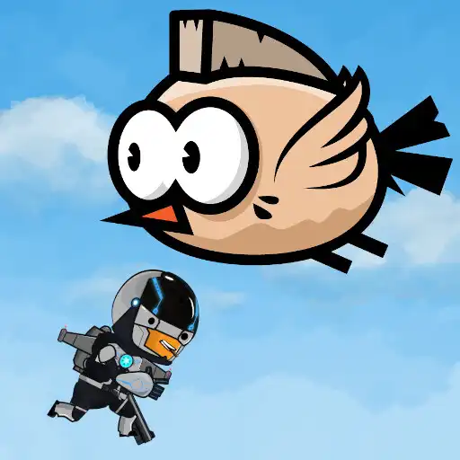 Play Order of laying birds APK