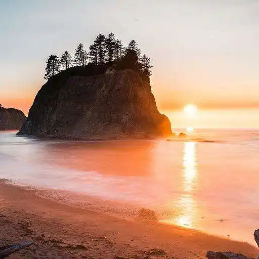 Play Oregon Wallpaper HD APK