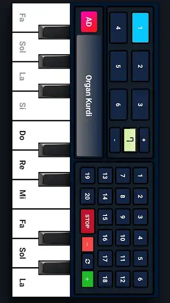 Play Organ 2022  and enjoy Organ 2022 with UptoPlay
