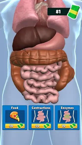 Play Organ Clicker  and enjoy Organ Clicker with UptoPlay