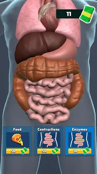 Play Organ Clicker as an online game Organ Clicker with UptoPlay