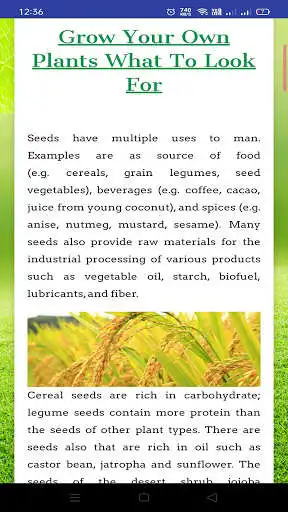 Play Organic Farming & Seeds  and enjoy Organic Farming & Seeds with UptoPlay