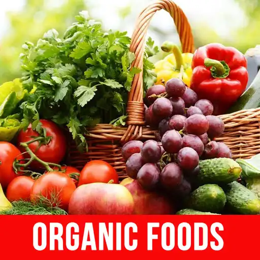 Free play online Organic Foods APK