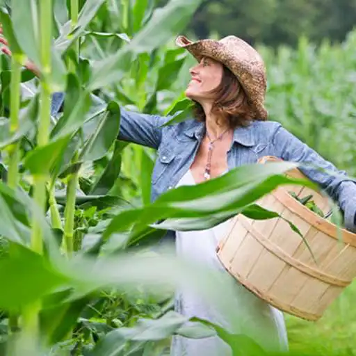 Free play online Organic Gardener  APK