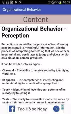 Play Organizational Behavior