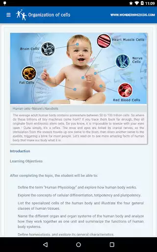 Play Organization of cells  and enjoy Organization of cells with UptoPlay